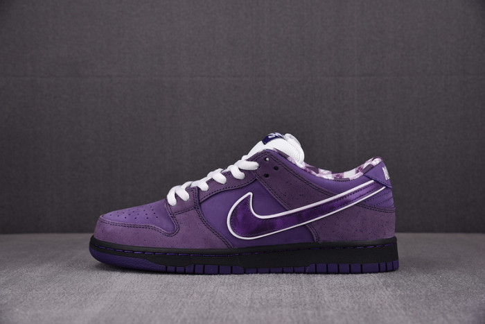 CONCEPTS X NK SB DUNK LOW 
