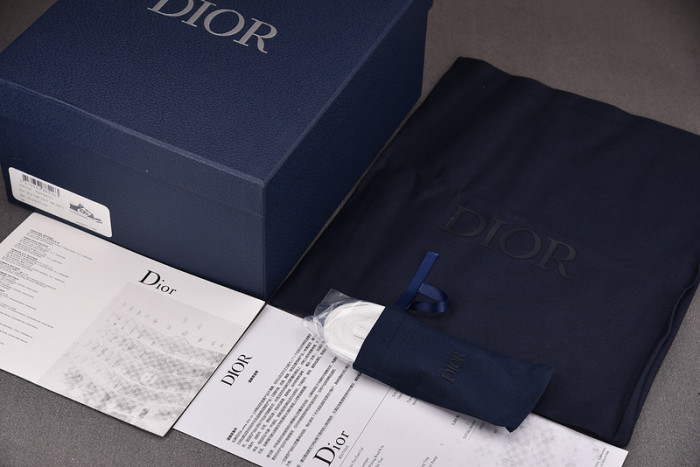 D10R B57 LOW SNEAKER